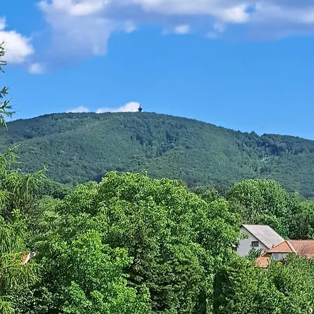 ゲストハウス Agnes Pihenohaz